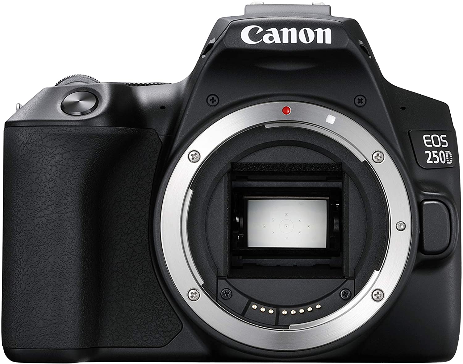 Canon 250d shop